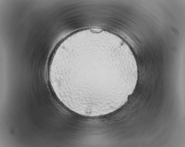 X0000116421080201001051121