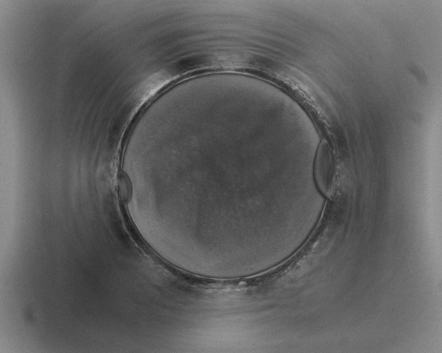 X0000116421081201001051121