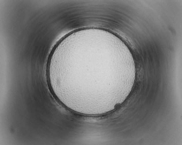 X0000116421086201001051121