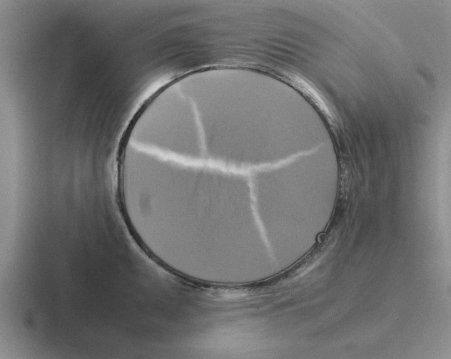 X0000116421095201001051121