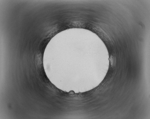 X0000116421107201001051120