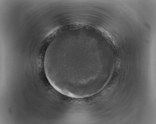 X0000116421110201001051120