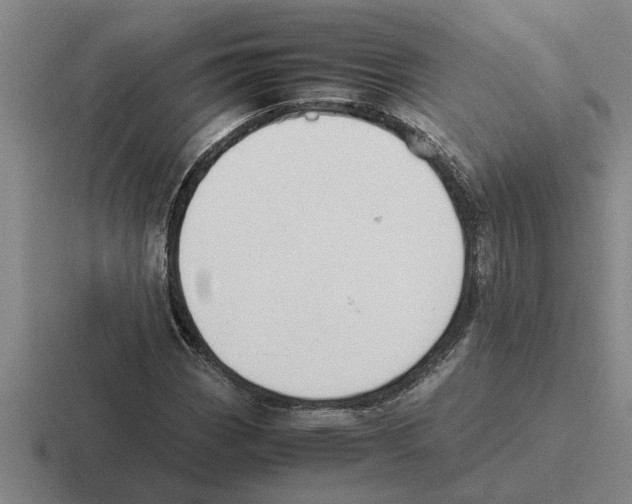 X0000116421113201001051120