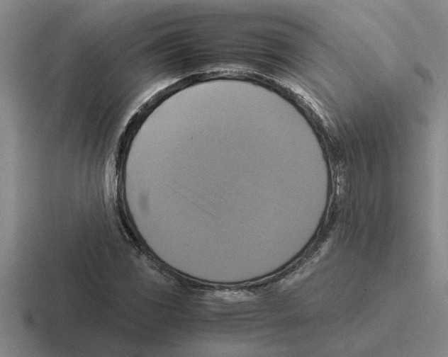 X0000116421117201001051120
