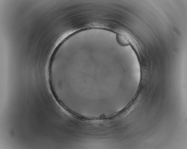 X0000116421141201001051121