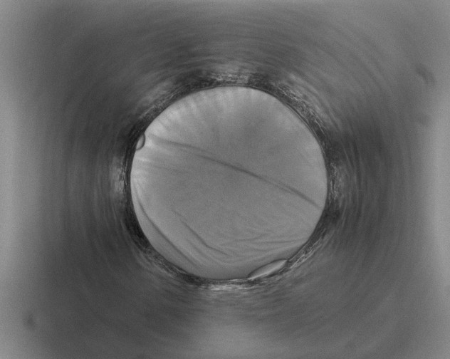 X0000116421154201001051120