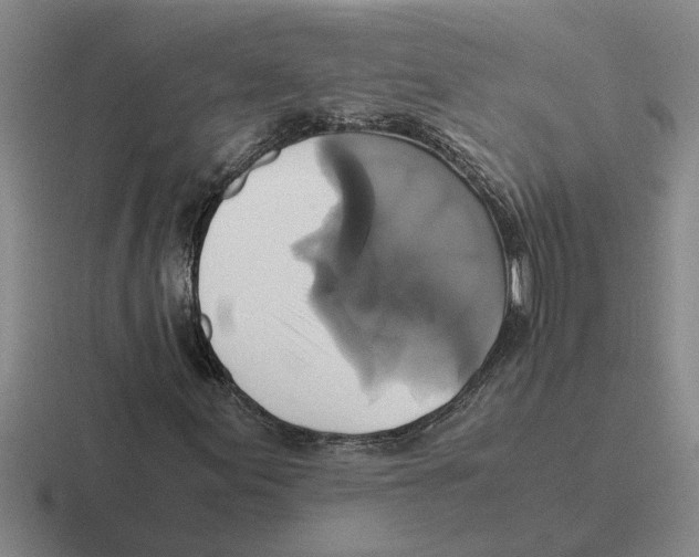 X0000116421155201001051120