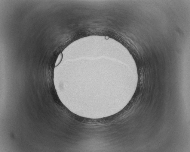 X0000116421156201001051120