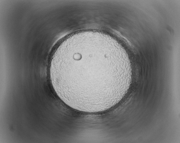 X0000116421166201001051120