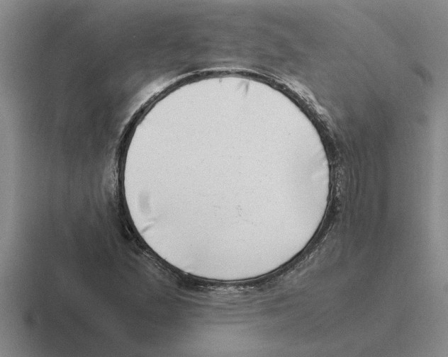 X0000116421167201001051120