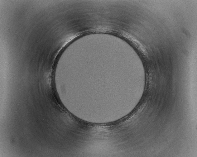 X0000116421170201001051120