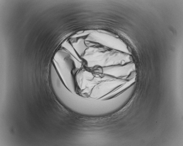 X0000116421177201001051120