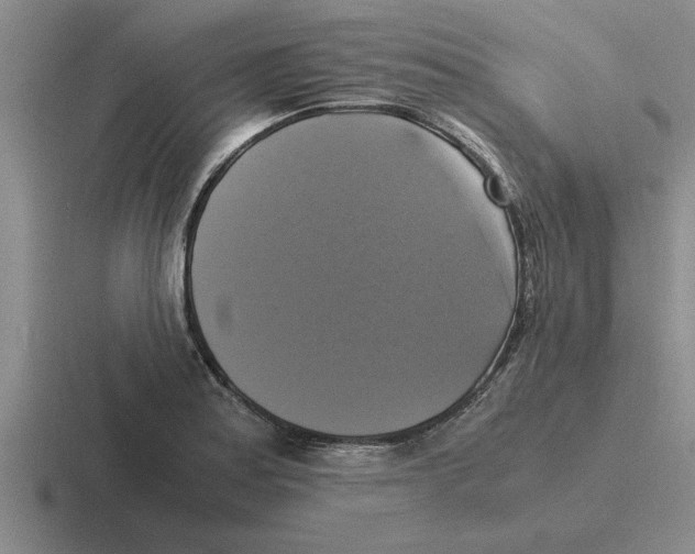 X0000116421179201001051120
