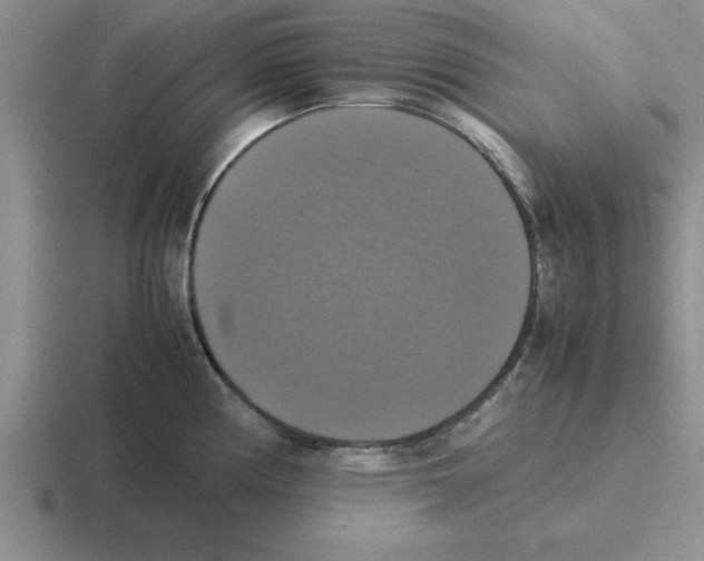 X0000116421194201001051120