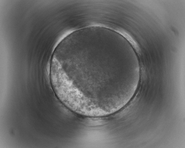 X0000116421198201001051120