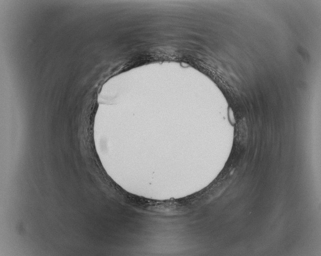 X0000116421201201001051119