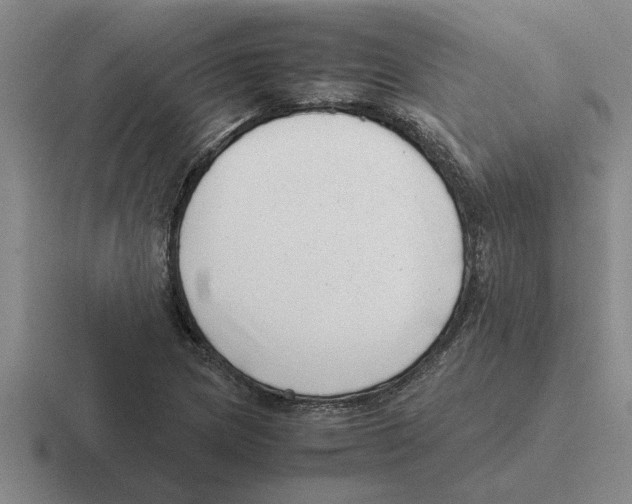 X0000116421217201001051119