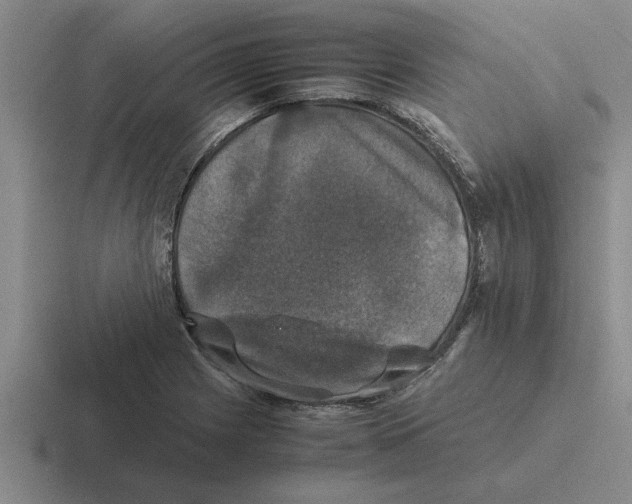 X0000116421225201001051119