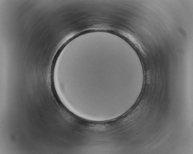 X0000116421229201001051119