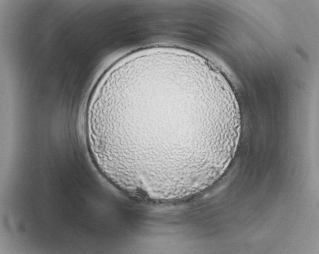 X0000116421247201001051120