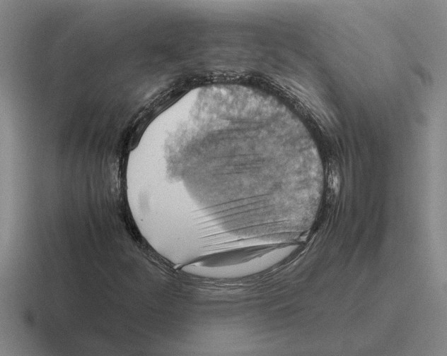 X0000116421252201001051119