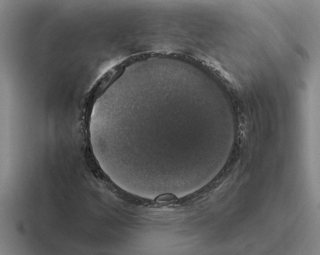 X0000116421256201001051119