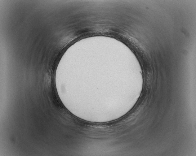 X0000116421257201001051119