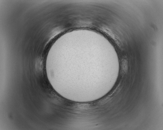 X0000116421258201001051119