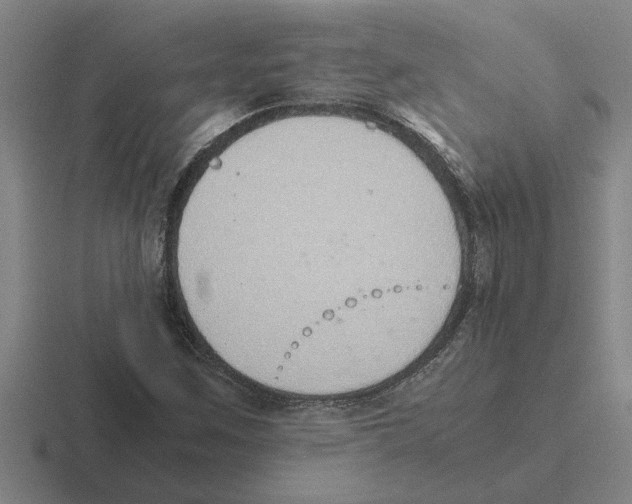 X0000116421259201001051119
