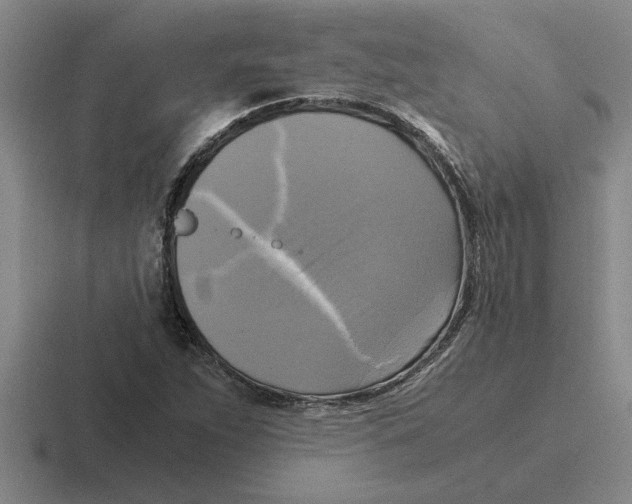 X0000116421263201001051119