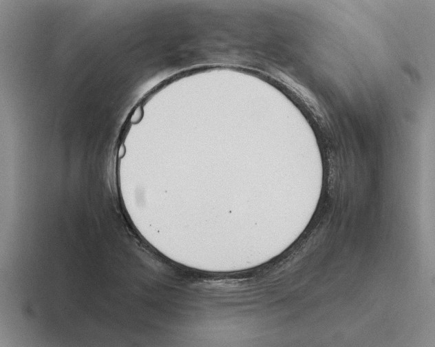 X0000116421272201001051119