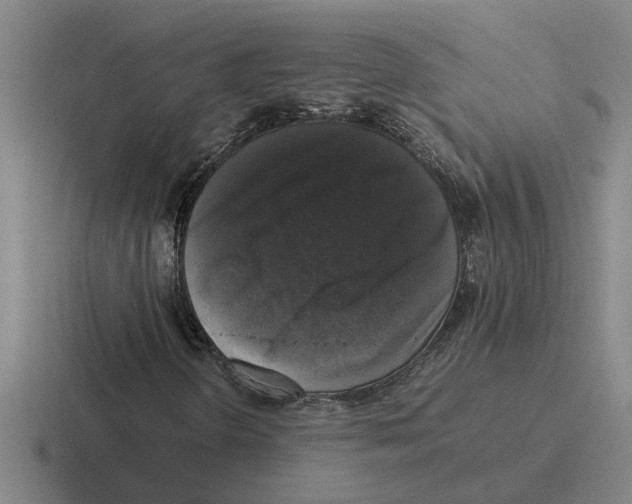X0000116421298201001051118