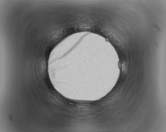 X0000116421299201001051118