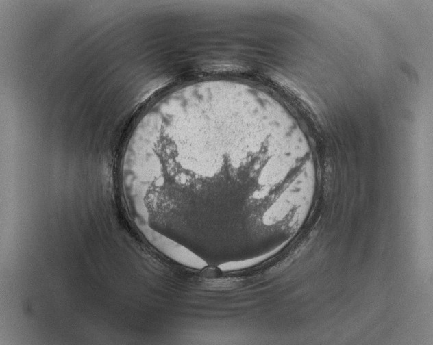 X0000116421305201001051118
