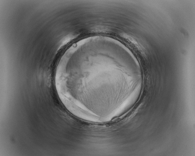 X0000116421306201001051118
