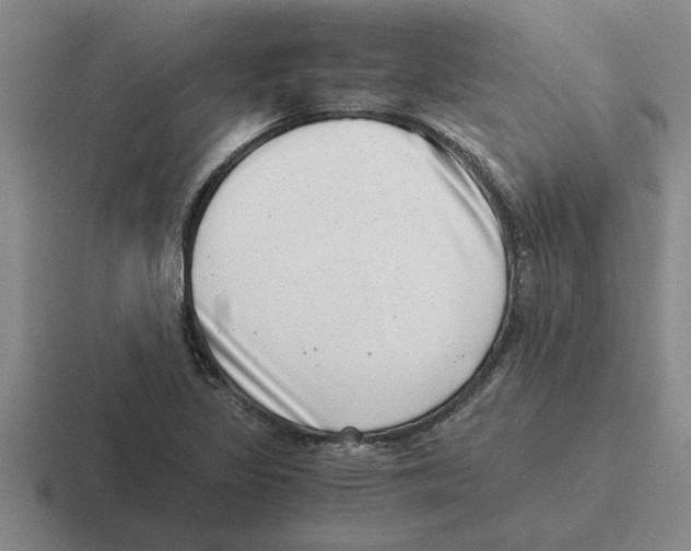 X0000116421317201001051118