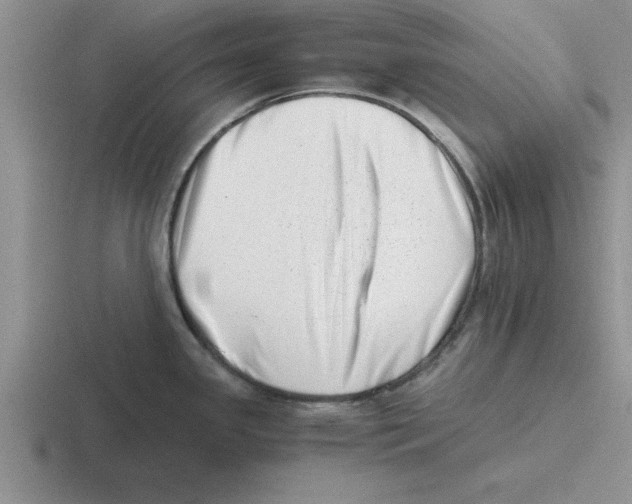 X0000116421341201001051118