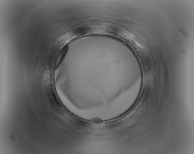 X0000116421353201001051118