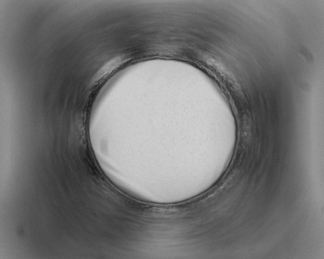X0000116421354201001051118