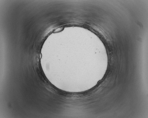 X0000116421355201001051118