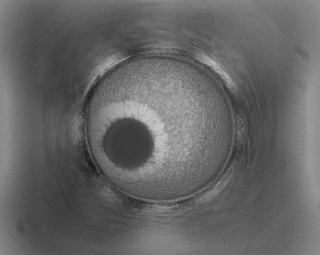X0000116421357201001051118
