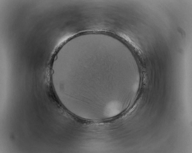 X0000116421358201001051118