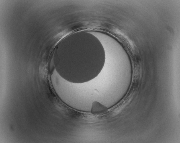 X0000116421361201001051118