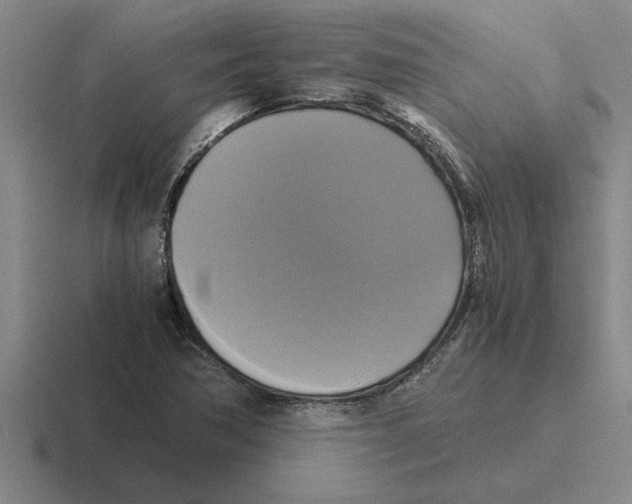 X0000116421362201001051118
