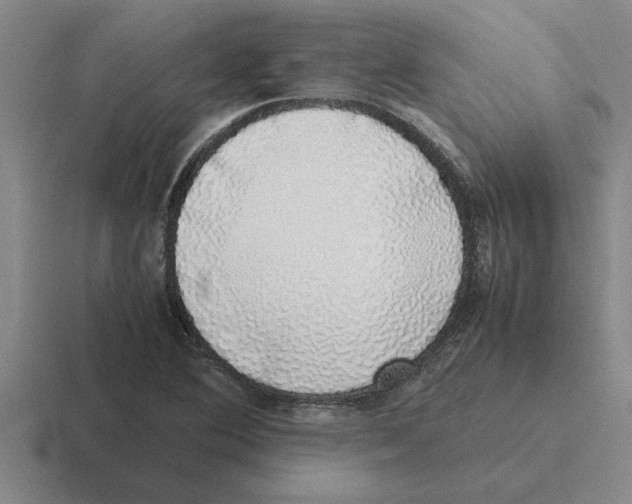 X0000116421364201001051118