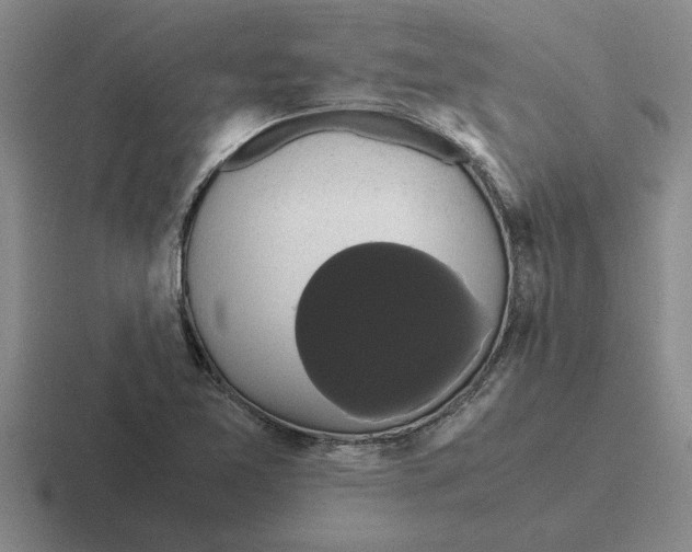 X0000116421365201001051118