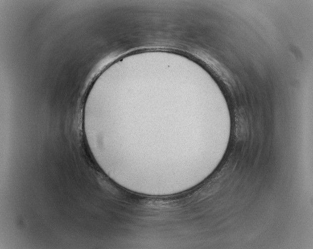 X0000116421366201001051118