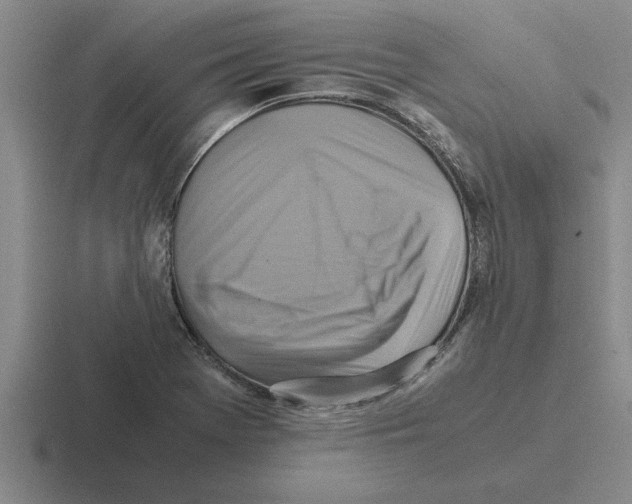 X0000116421369201001051118