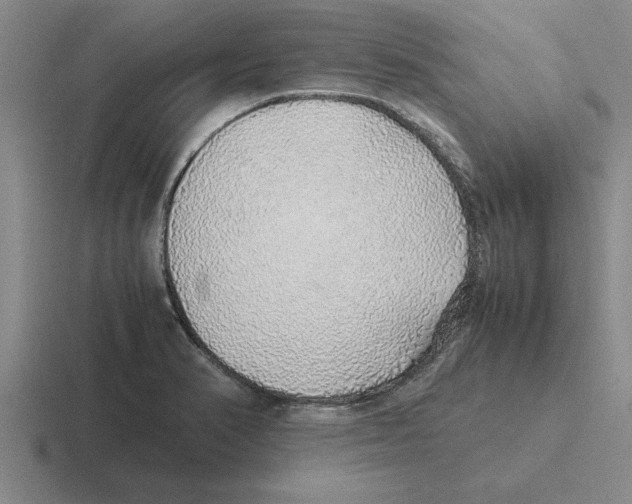 X0000116421374201001051118