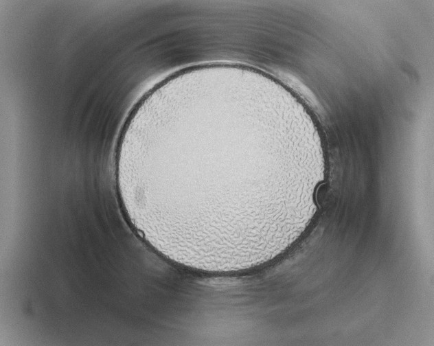X0000116421380201001051117